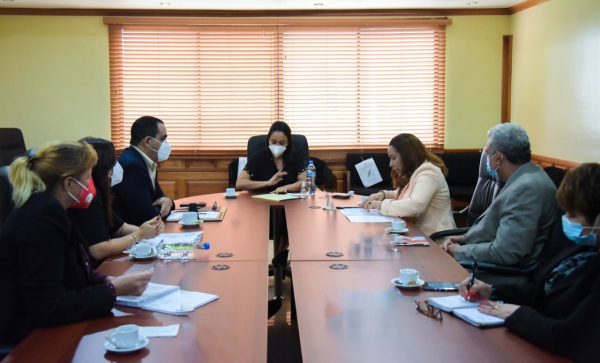 Ministerio de la Mujer presentó propuestas ante Senado sobre proyecto de reforma al Código Penal