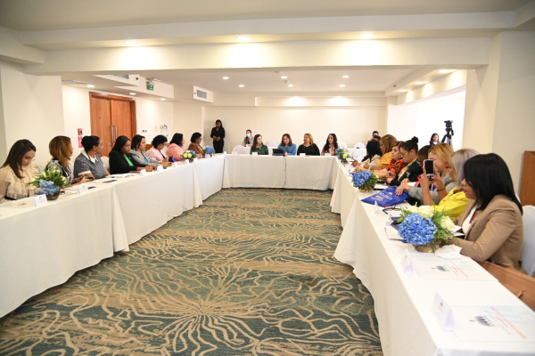 Ministerio de la Mujer realiza encuentro con legisladoras para discutir agenda legislativa de igualdad